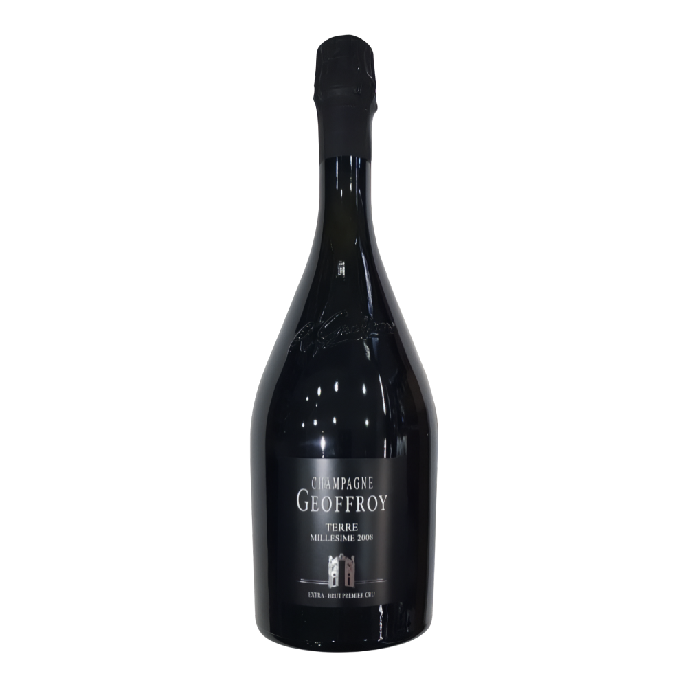 Geoffroy, Terre Millésime Extra brut 1er Cru 2008, Bottiglia 750 ml